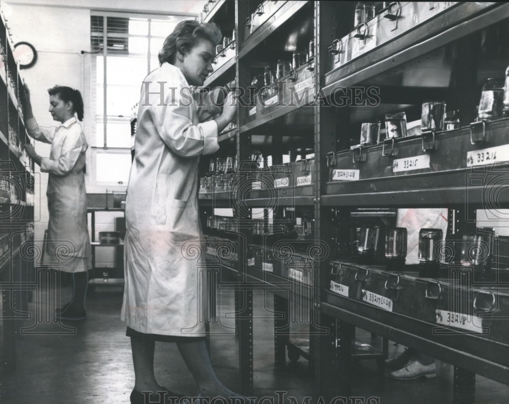 1959 Press Photo Researchers Work on Anti-Cancer Program, Birmingham, Alabama - Historic Images