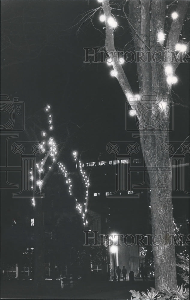 1982, Birmingham, Alabama Parks: Woodrow Wilson Christmas Lights - Historic Images