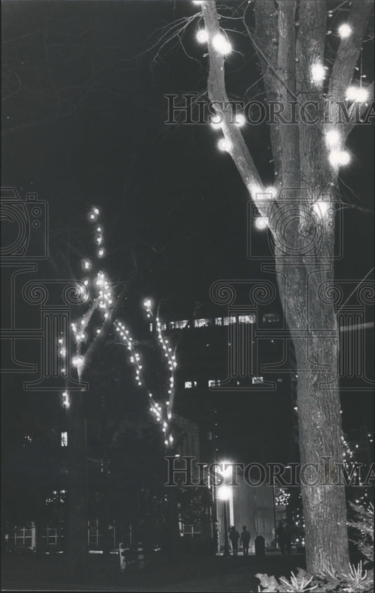 1982, Birmingham, Alabama Parks: Woodrow Wilson Christmas Lights - Historic Images