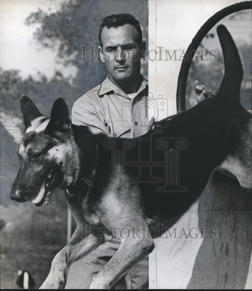 1964 Birmingham Alabama Police Dog performs - Historic Images