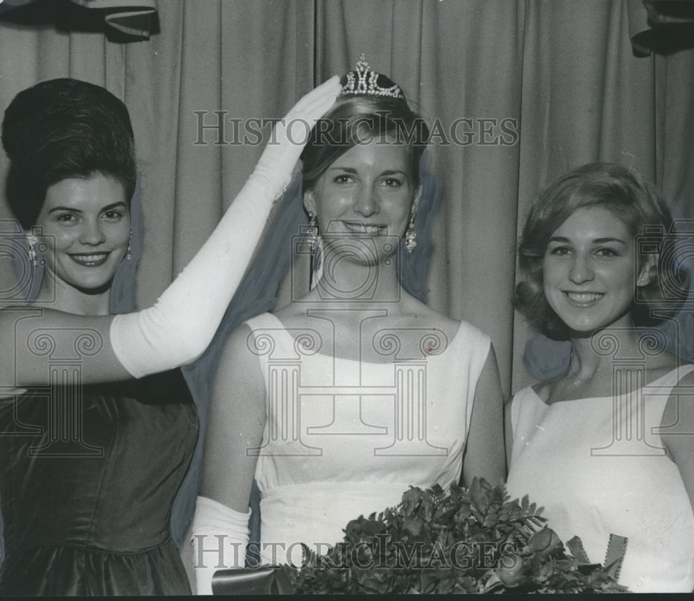 1966 Press Photo Maid of Cotton contestants from Shelby County - abno01582-Historic Images