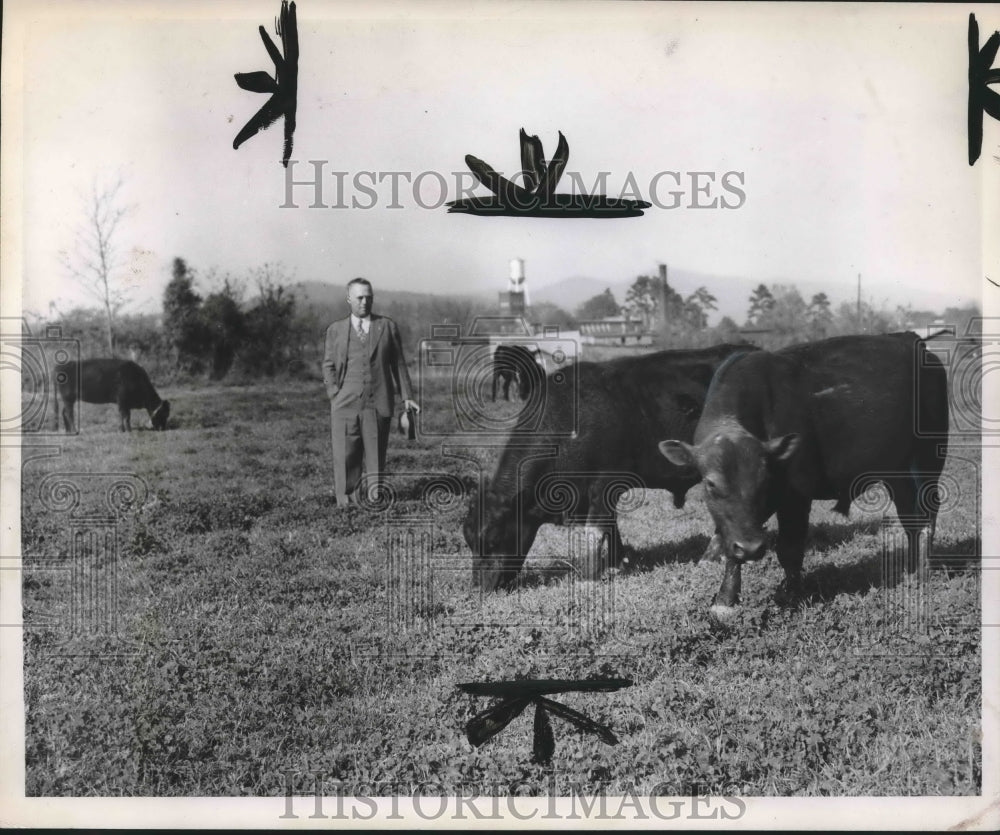 1946, Candidate for governor Judge Elbert Boozer in field with cattle - Historic Images