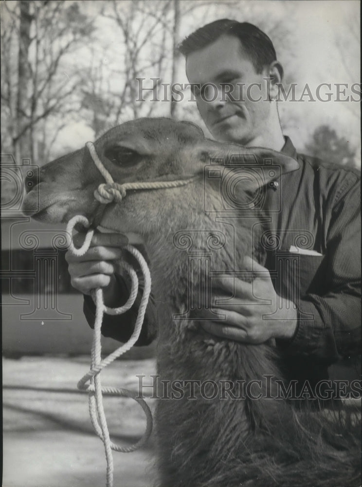 1962 Press Photo Bob Truett, director of the Jimmy Morgan Zoo, holds a Guanaco - Historic Images