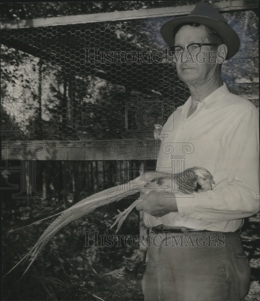 1965, Loyd Kizzire, Bird Farm, Tuscaloosa, Alabama, Golden Pheasant - Historic Images