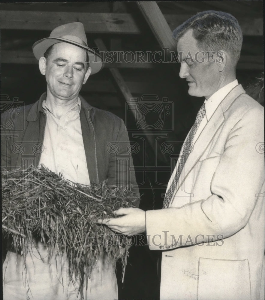 1957, Hubert Mulvehill, Morris, shows Clinton Johns passel of silage - Historic Images