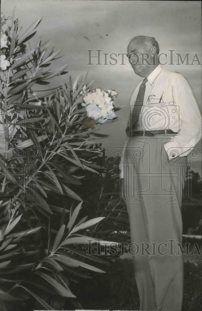 1950 Press Photo Well-Dressed Gentleman Admires Flowers At Gulf Shores, Alabama - Historic Images