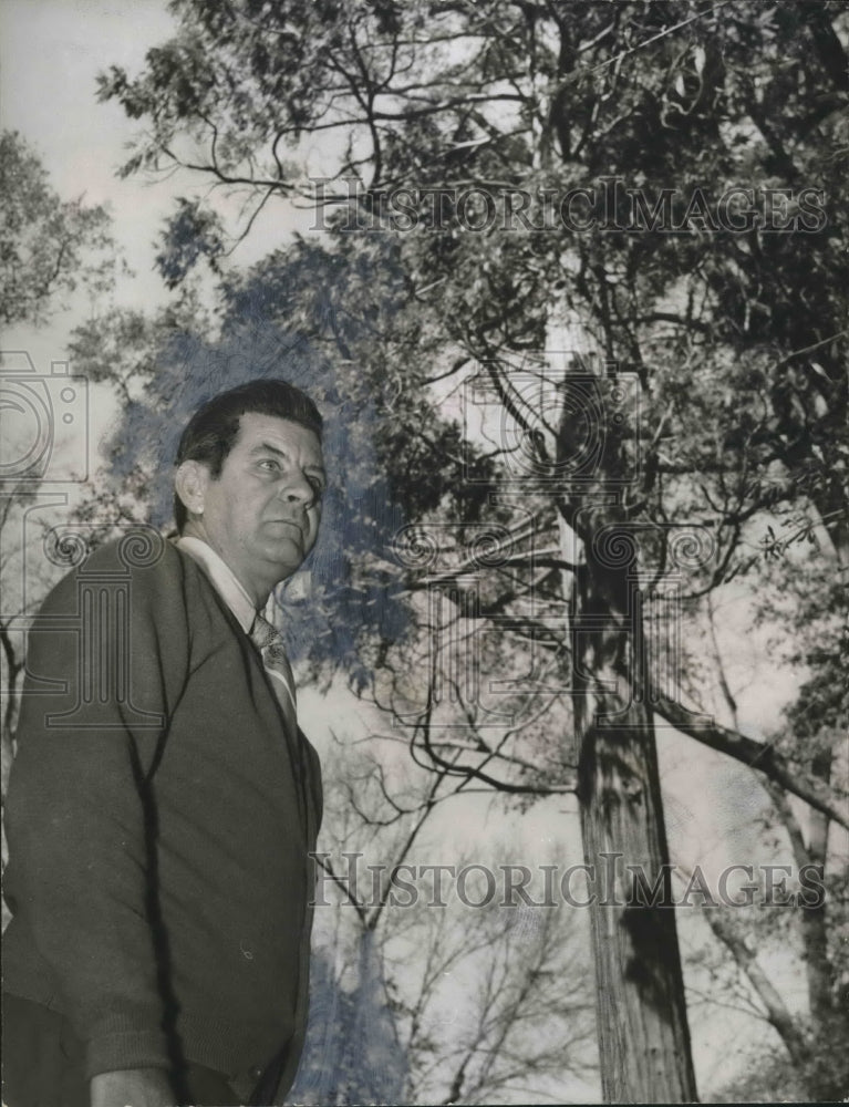 1972 Press Photo Douglas Moore, Marion, Alabama Mayor and the Redwood tree- Historic Images