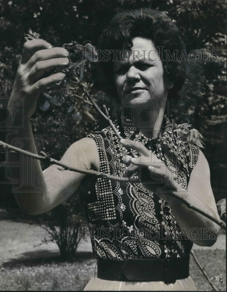 1973, Mrs. Julia Plant with plants at her Midfield, Alabama home - Historic Images