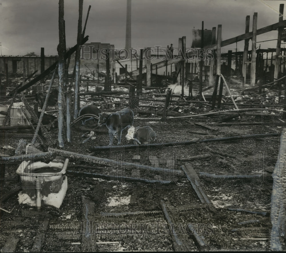1952 Armour & Company after fire, Birmingham, Alabama - Historic Images
