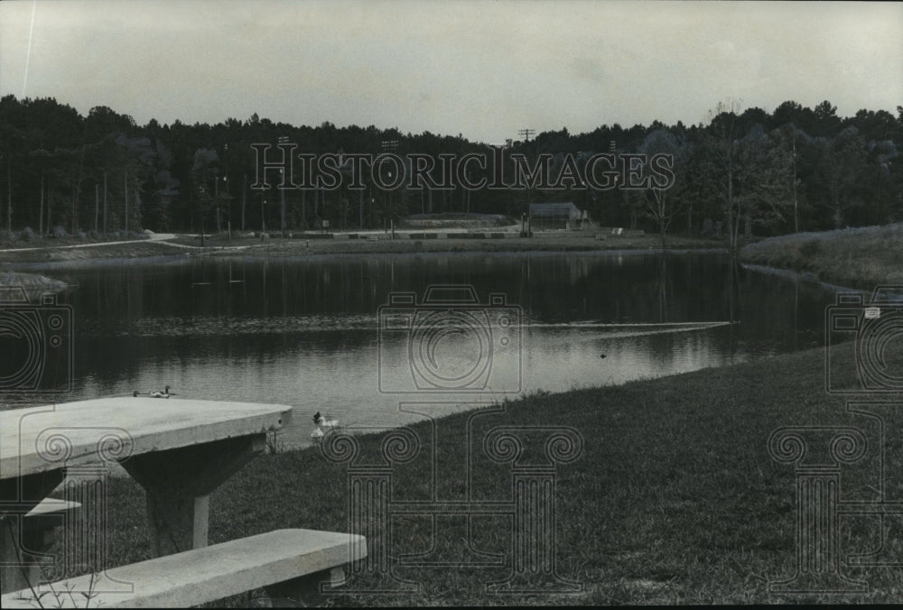 1976, Joe Tucker Park in Helena, Alabama - abno09151 - Historic Images