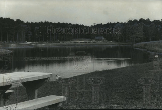 1976, Joe Tucker Park in Helena, Alabama - abno09151 - Historic Images