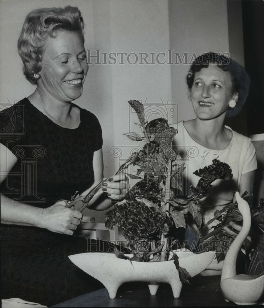 1962, Mrs. Robert L. Humphrey, Mrs. P.E. Pyle readying for plant show - Historic Images