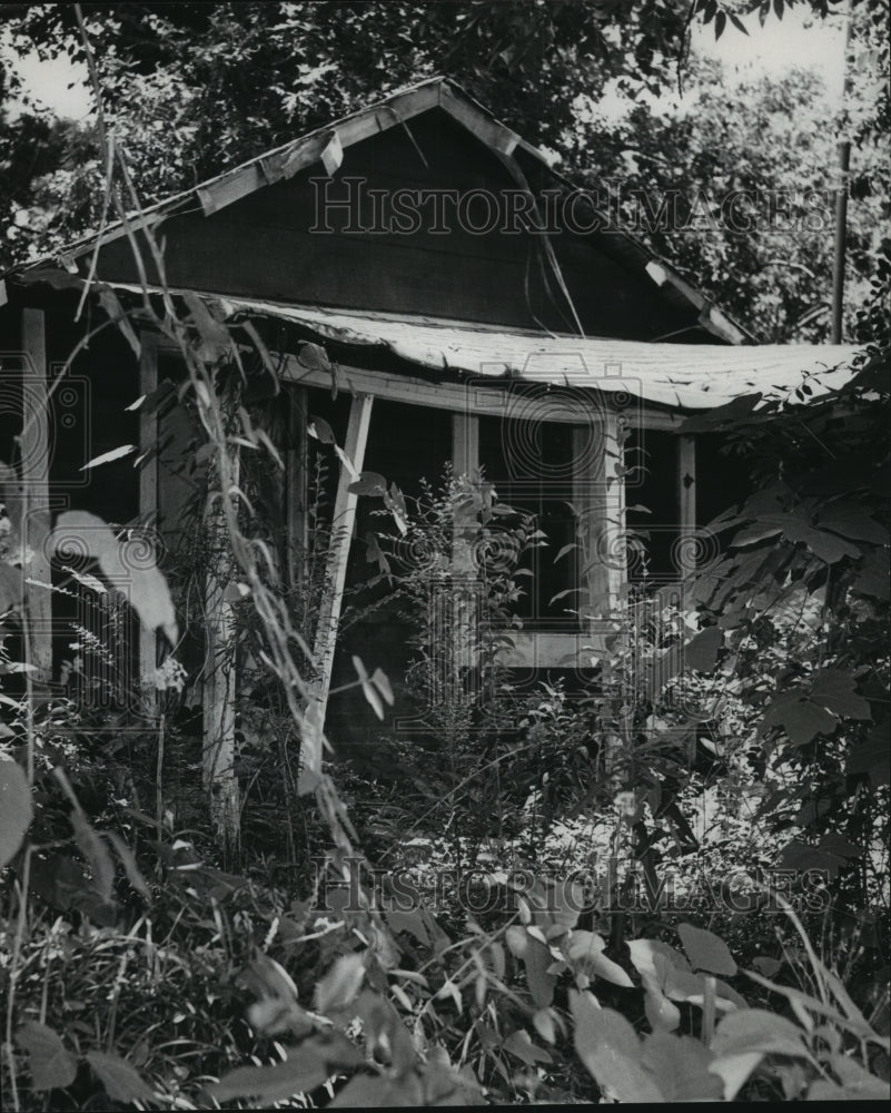 1975, Empty House Deteriorating Under Plants and Vines - abno09909 - Historic Images