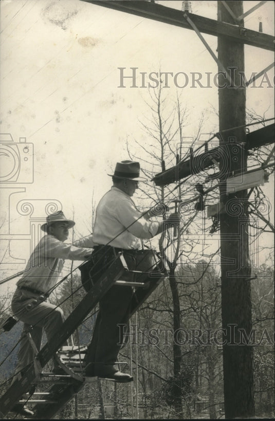 1955 Press Photo Workmen Fix Lines Sabotaged by Striking Workers, Bessemer, AL- Historic Images
