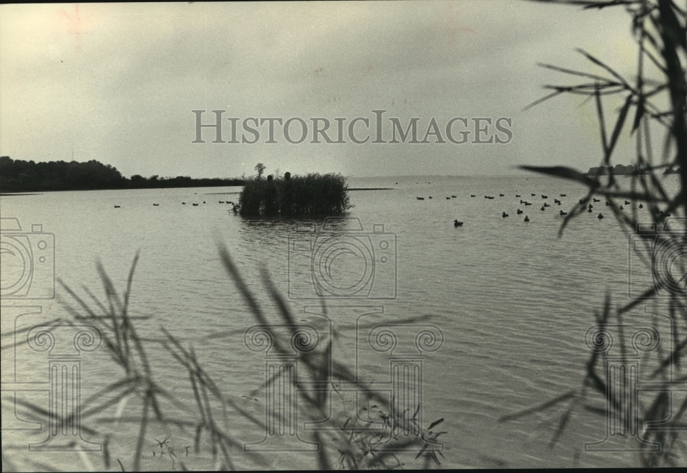 1982 Press Photo Duck Blind with decoys in water at lake in Decatur, Alabama- Historic Images