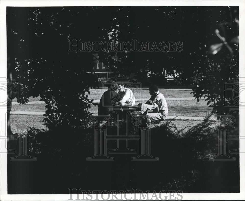 1971 Press Photo Alabama-Tuscaloosa-Students on campus of University of Alabama - Historic Images