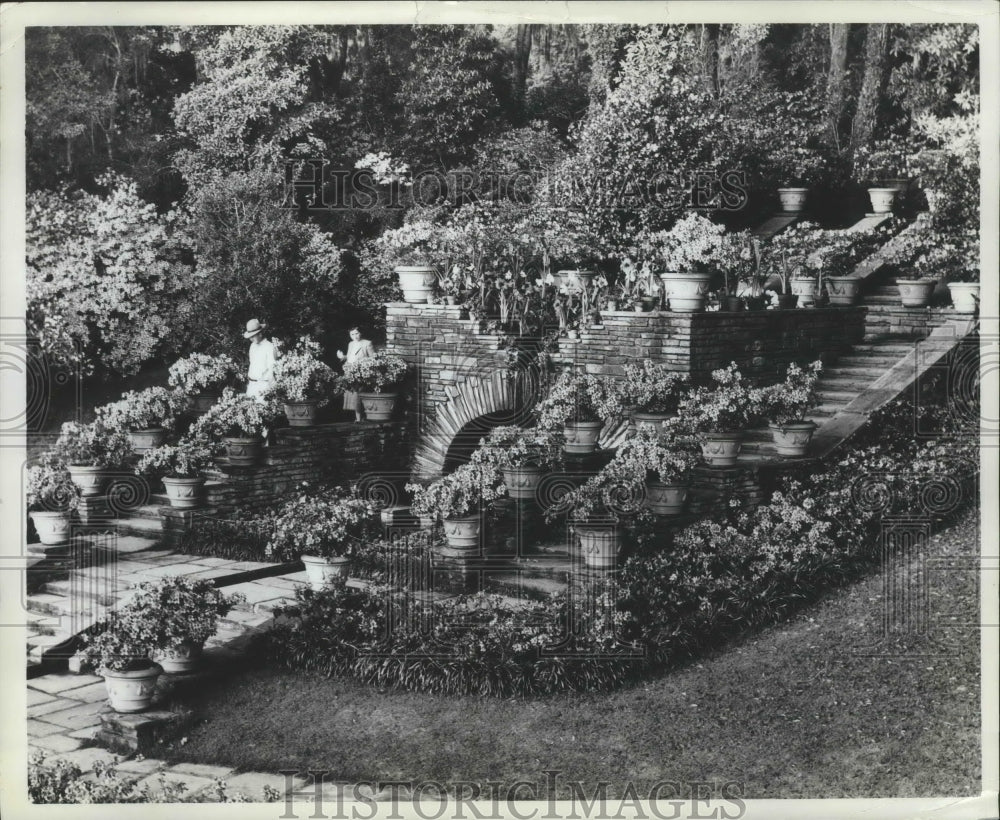1961 Press Photo Bellingrath Gardens Shrubbery and Staircases in Mobile, Alabama - Historic Images