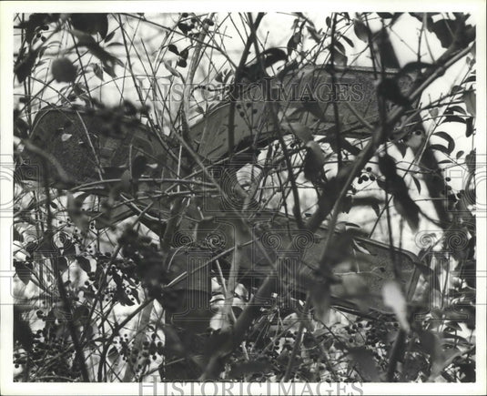 1979 Press Photo Alabama-Tarrant-Bent street signs, rusted over and hard to read - Historic Images
