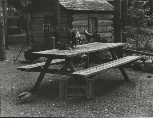 1974 Press Photo Chickens wait for dinner at Tannehill State Park, Alabama - Historic Images