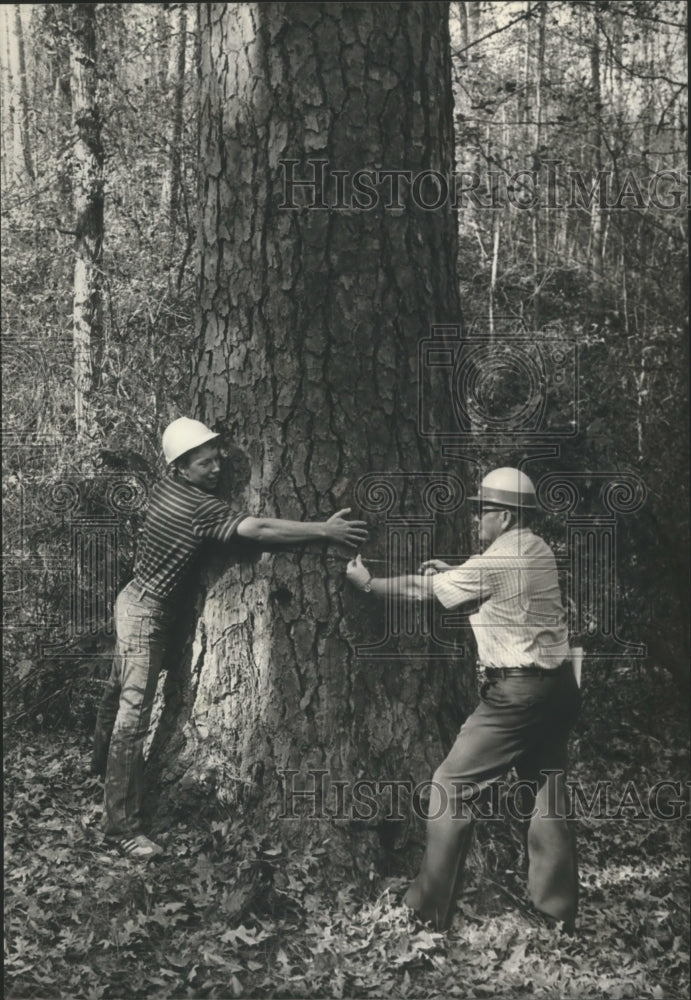 1982 Press Photo Alabama-Mud Creek-Tim Macke &amp; Jim Smith measure trunk of tree - Historic Images