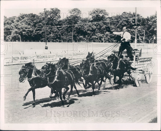 Undated St. Petersburg FL Webb's City Horse Drawn Coach Press Photo - Historic Images