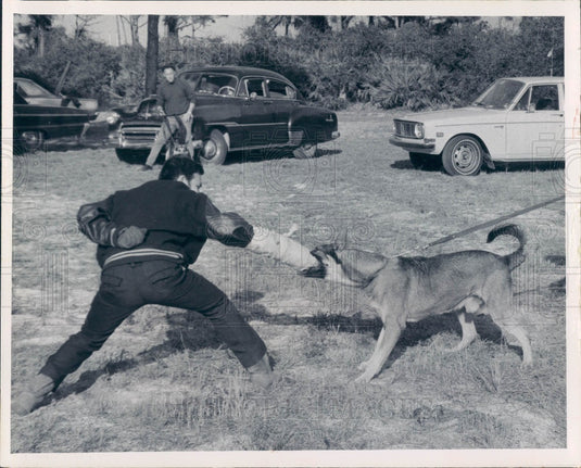 1970 St. Petersburg Florida Police K-9  & Times Reporter Fleischer Press Photo - Historic Images