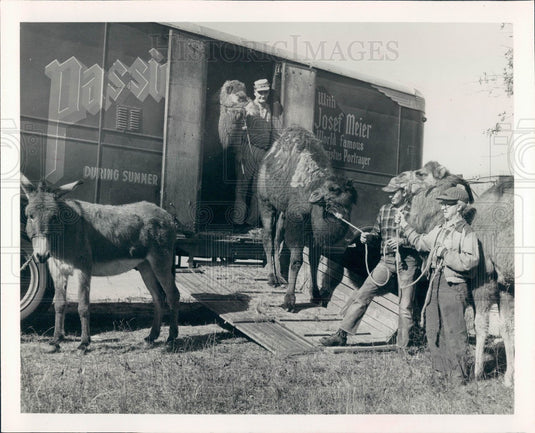 1961 Lake Wales Florida Black Hills Passion Play Press Photo - Historic Images