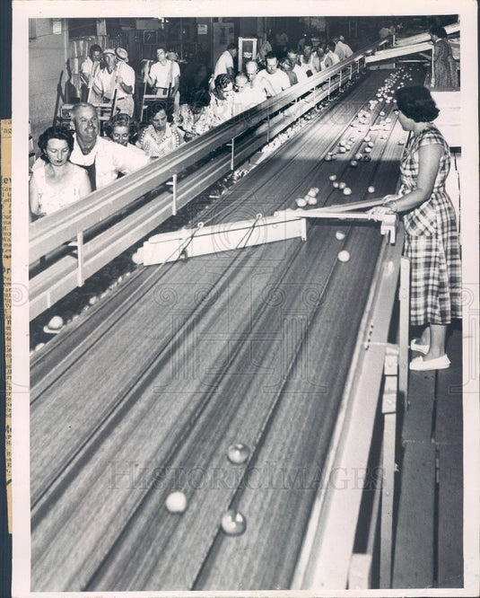 1954 Worker Sorting Tomatoes on Conveyor Belt Press Photo - Historic Images