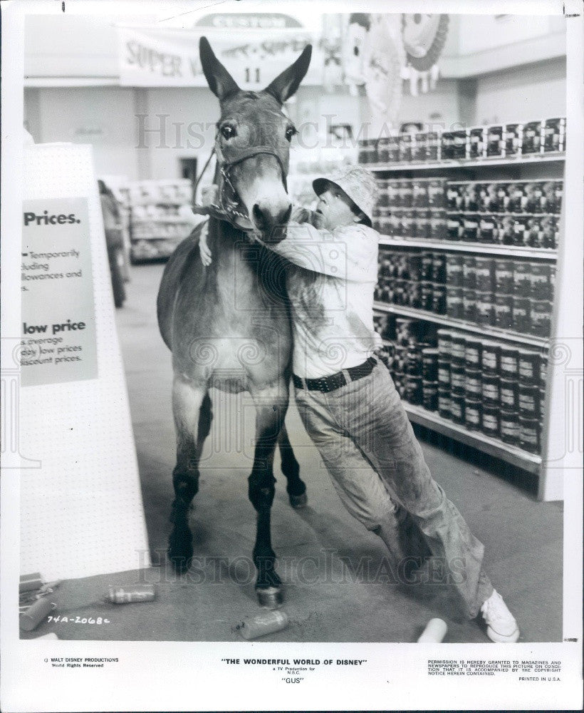 1977 Disney Hollywood Actor Tim Conway Mule Gus Press Photo - Historic Images