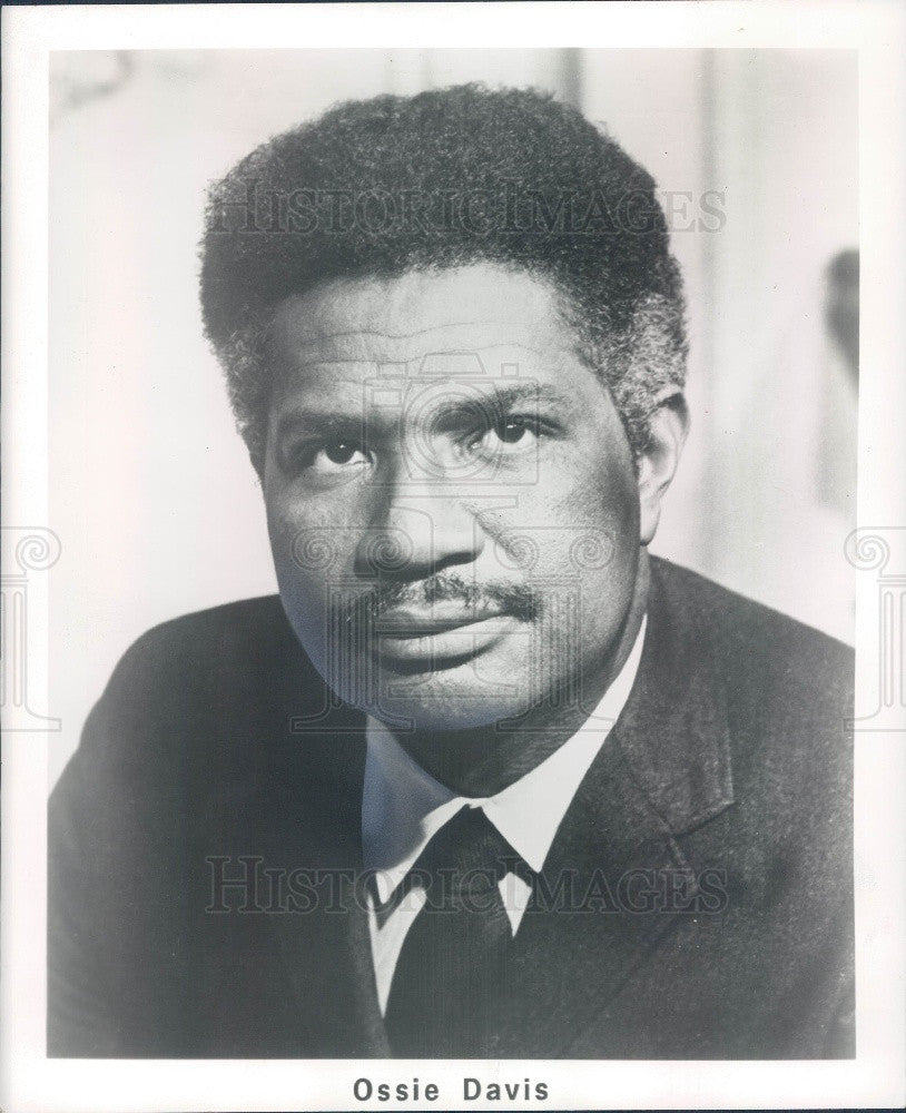 1980 Hollywood Actor Ossie Davis Press Photo - Historic Images