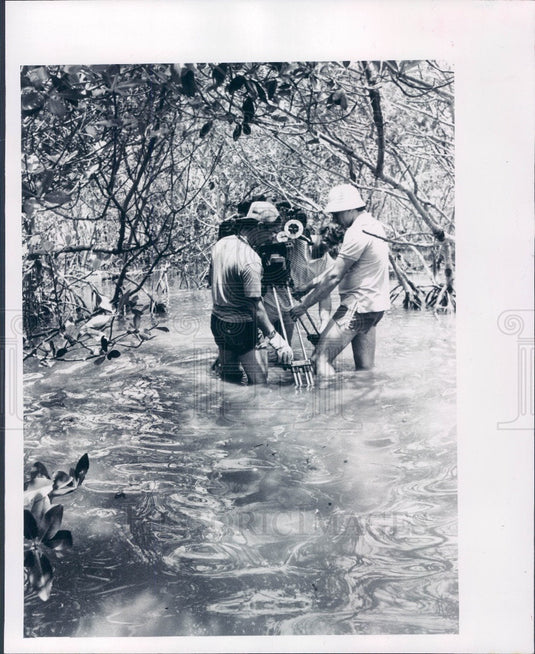 1984 Florida Keys IMAX Documentary Suncoast Seabird Sanctuary Press Photo - Historic Images