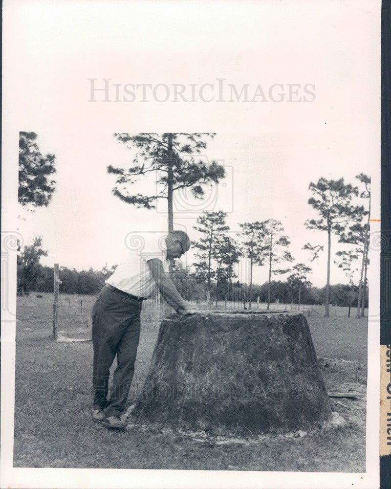 1973 Brooksville Florida Ringo Junction School Cistern Press Photo - Historic Images