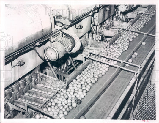 1956 St Petersburg Florida Hood & Son's Juice Press Press Photo - Historic Images