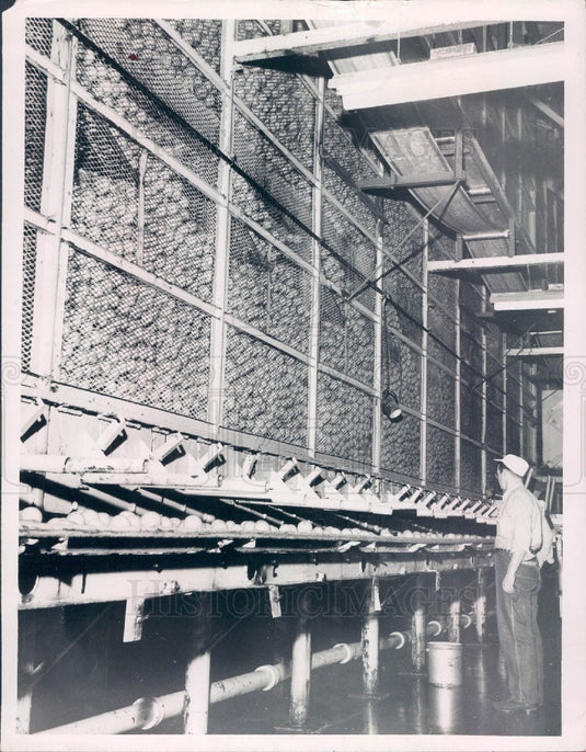 1956 St Petersburg Florida Hood & Son's Juice Press Press Photo - Historic Images