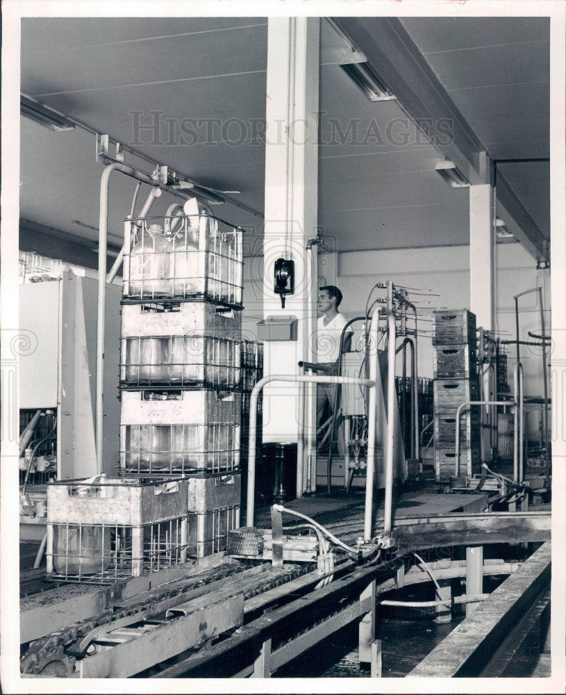 1965 St Petersburg Hood&#39;s Milk Inc Automated Conveyer Press Photo - Historic Images