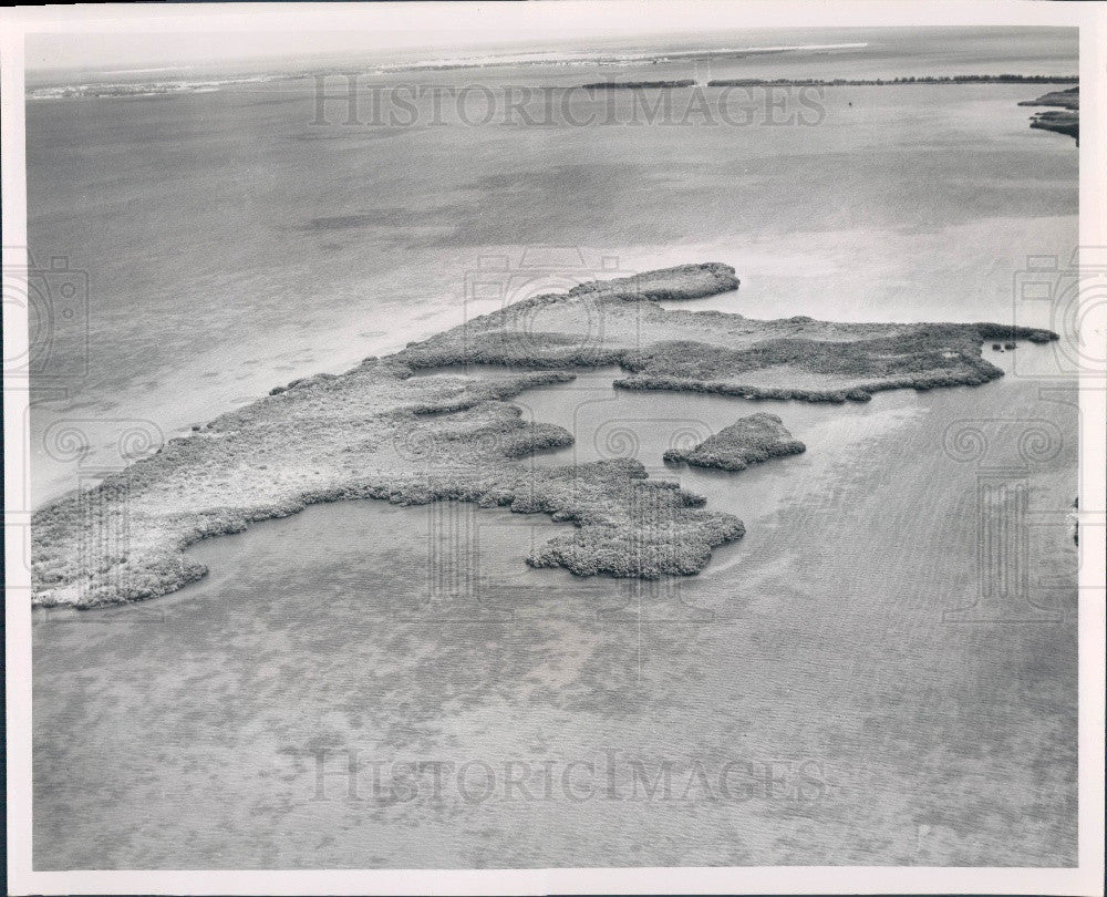 1958 Pinellas County Florida Big Island Aerial Press Photo - Historic Images