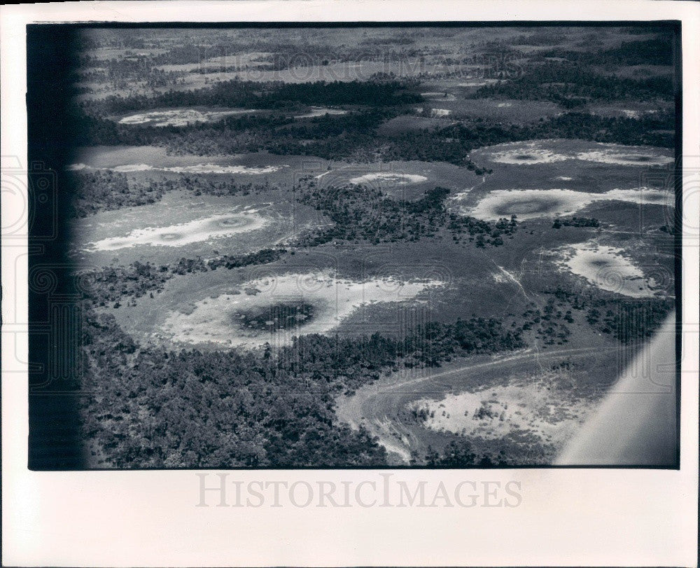 1974 Big Cypress Florida Swamp 1974 Dry Season Aerial Press Photo - Historic Images