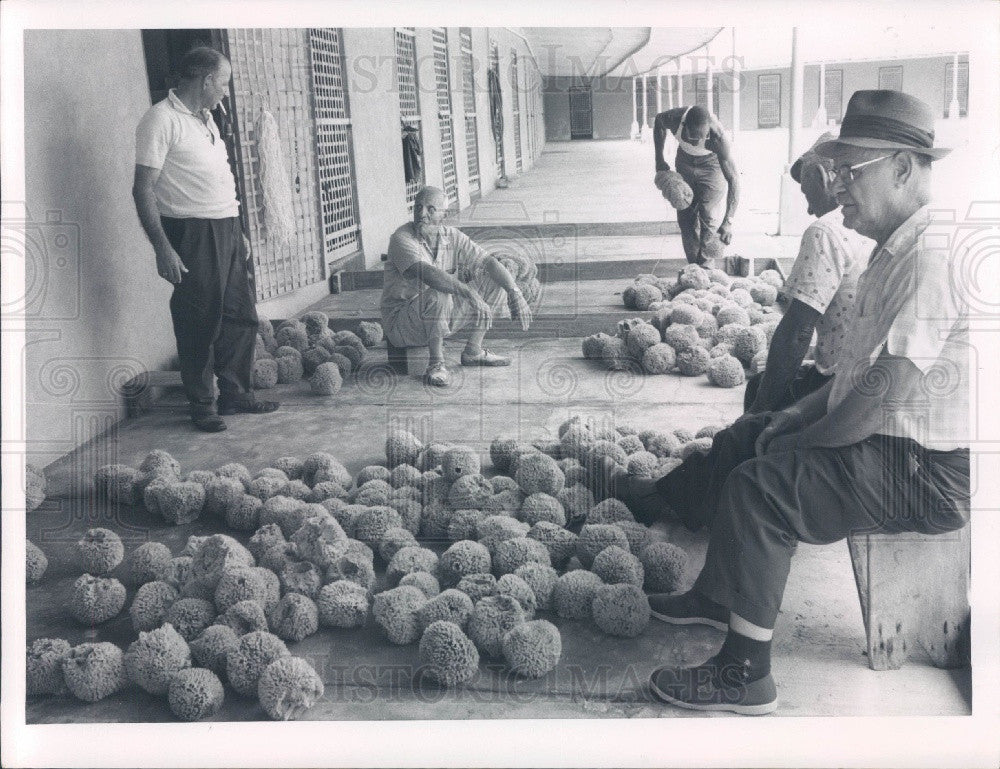 1967 Tarpon Springs Florida Sponge Exchange Press Photo - Historic Images