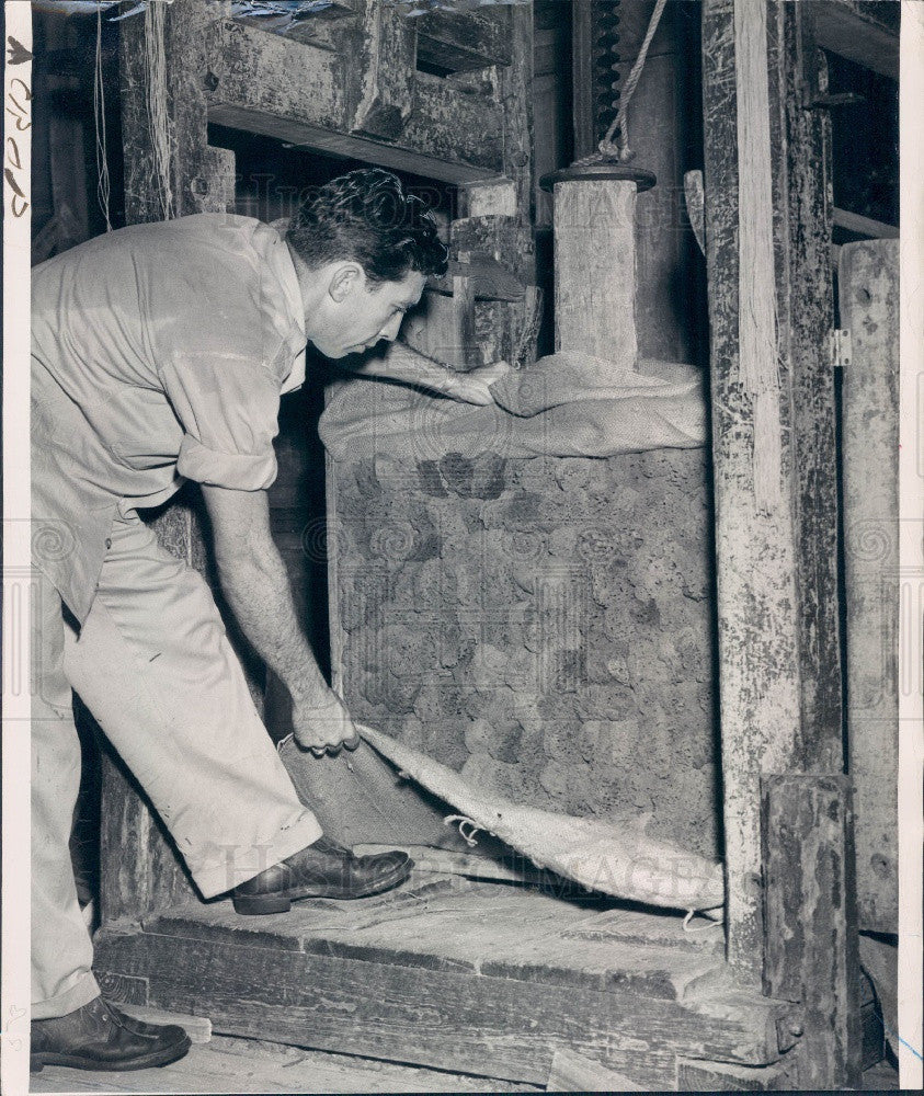 1947 Sponge Packing Press Press Photo - Historic Images