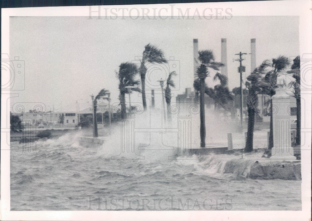 1967 St. Petersburg Florida Storm High Tide at Boat Basin Press Photo - Historic Images