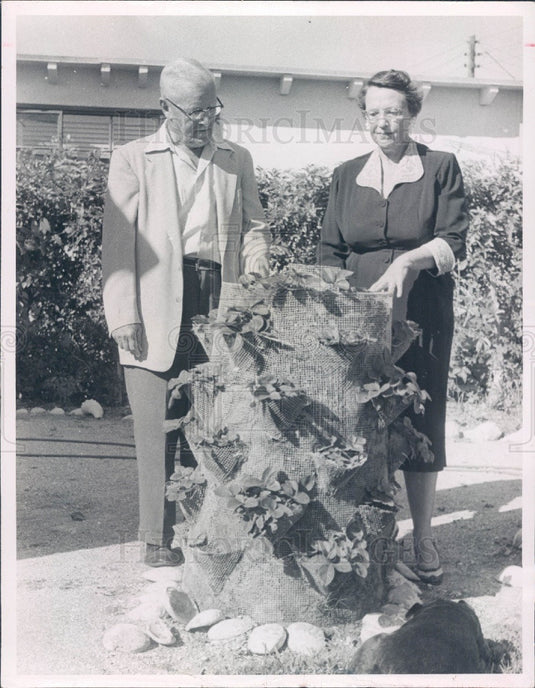 1957 Florida Unique Strawberry Planter Mr. & Mrs. Theo James Press Photo - Historic Images