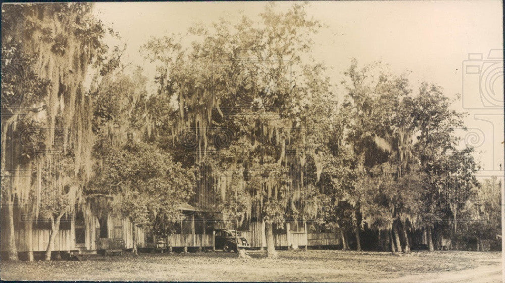 Undated Florida Tom&#39;s Camp Postcard Press Photo - Historic Images
