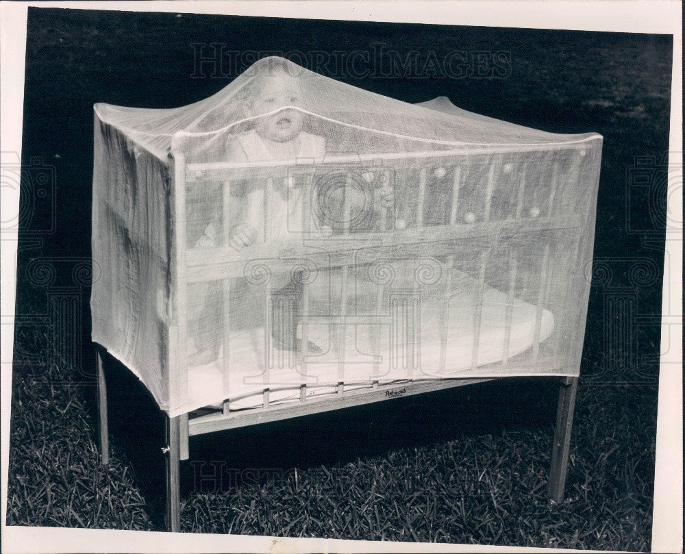 1956 Mosquito Netting on Baby Bed  Press Photo - Historic Images