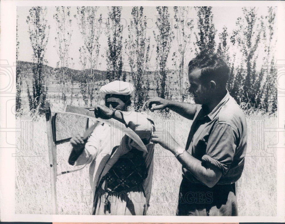 1967 Morocco Agriculture Press Photo - Historic Images