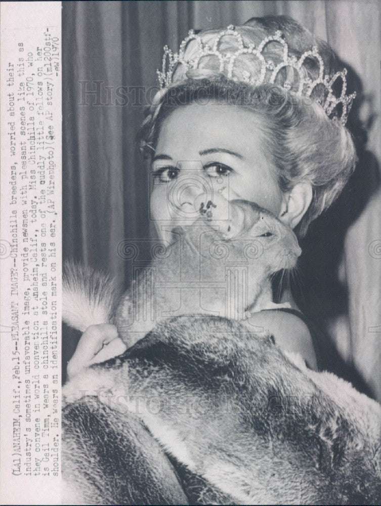 Gail Timms 1970 Miss Chinchilla Gail Timm Press Photo - Historic Images