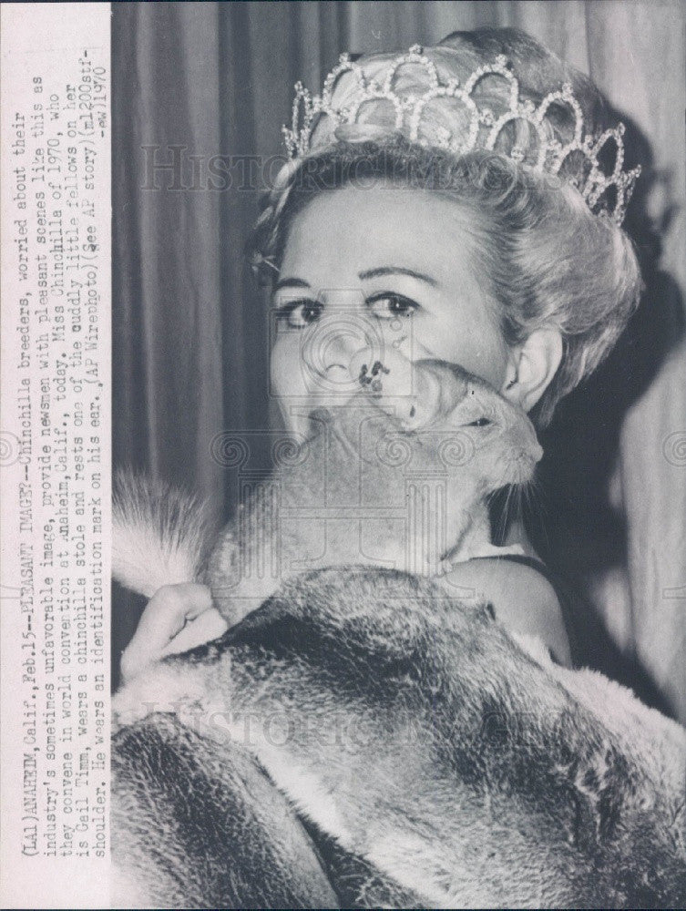 1970 Miss Chinchilla Gail Timm Press Photo - Historic Images