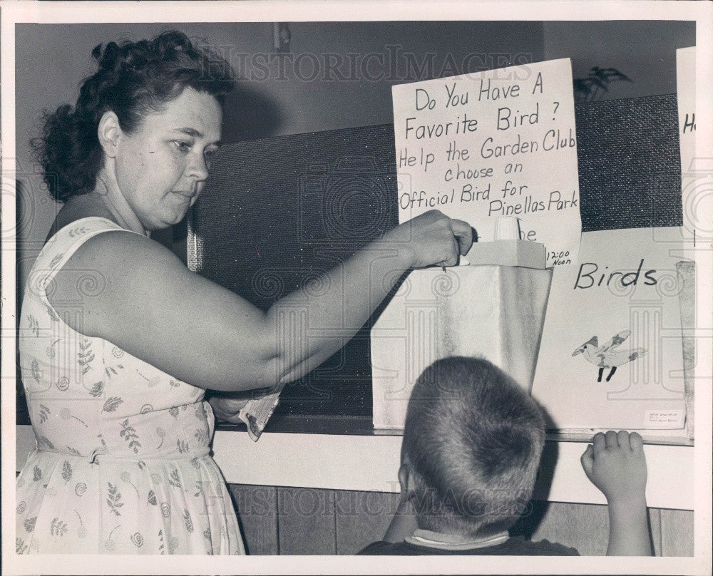 1967 Pinellas Park Florida Voting for Official City Bird &amp; Flower Press Photo - Historic Images