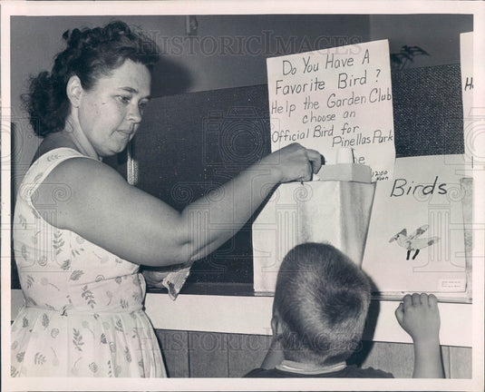 1967 Pinellas Park Florida Voting for Official City Bird & Flower Press Photo - Historic Images