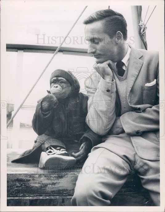 1958 Original Today Show Star Chimpanzee Kokomo Jr & John McAleenan Press Photo - Historic Images