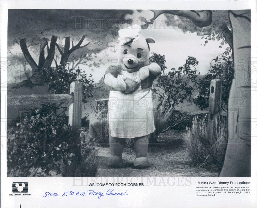 1983 Cartoon Character Winnie the Pooh Press Photo - Historic Images